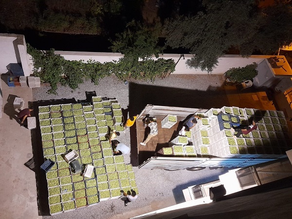 Foto - Tam 2 bin ton evlerde işleniyor! Ekonomiye 5 ayda 50 milyon TL’lik katkı