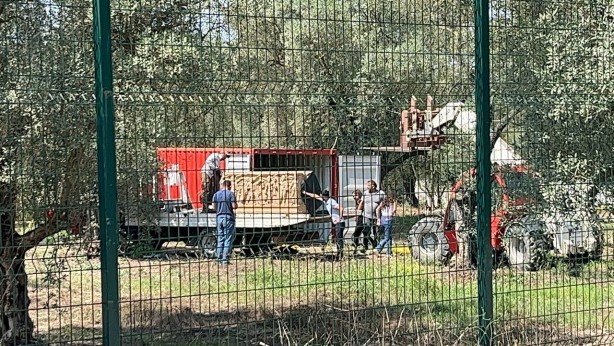 Foto - Tam 2 bin yıllık! Bursa'da bulundu