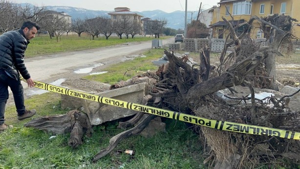 Foto - Tam 2 bin yıllık! Bursa'da bulundu
