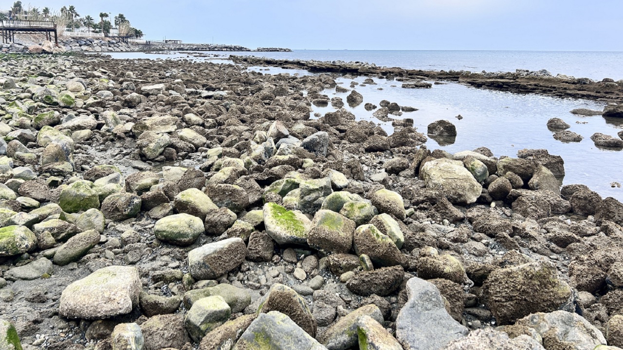 Foto - Tam 20 metre! O ilimizde korkutan manzara