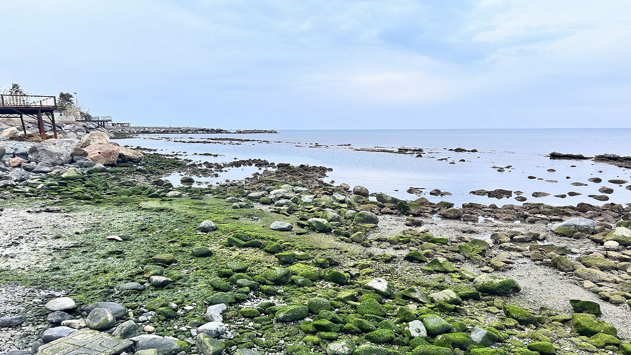 Foto - Tam 20 metre! O ilimizde korkutan manzara