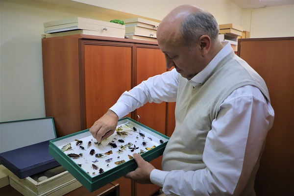 Foto - Tam 200 bin tane! Görenleri şaşkına çeviren koleksiyon