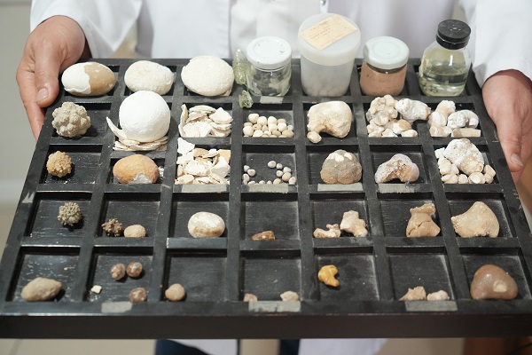 Tam 22 senede biriktirdi! Hastaların çilesi onun koleksiyonu oldu