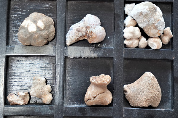 Foto - Tam 22 senede biriktirdi! Hastaların çilesi onun koleksiyonu oldu