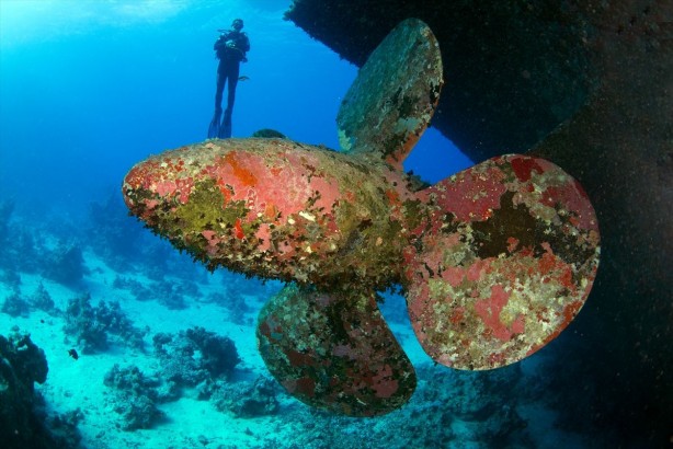 Foto - Tam 23 yıl önce batmıştı! Yüzlerce hacıyı taşıyan o feribotun batığı böyle görüntülendi! Bakın içinden neler çıktı