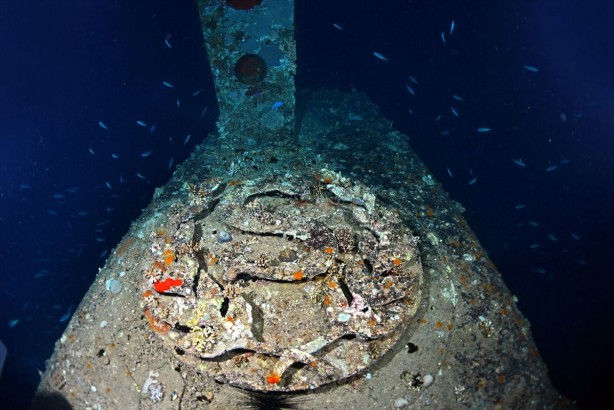 Foto - Tam 23 yıl önce batmıştı! Yüzlerce hacıyı taşıyan o feribotun batığı böyle görüntülendi! Bakın içinden neler çıktı