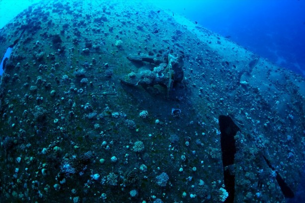 Foto - Tam 23 yıl önce batmıştı! Yüzlerce hacıyı taşıyan o feribotun batığı böyle görüntülendi! Bakın içinden neler çıktı