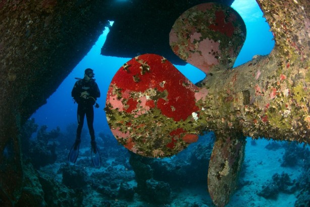 Foto - Tam 23 yıl önce batmıştı! Yüzlerce hacıyı taşıyan o feribotun batığı böyle görüntülendi! Bakın içinden neler çıktı