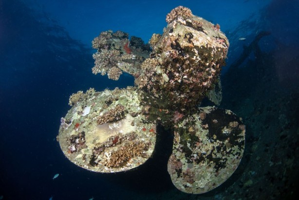 Foto - Tam 23 yıl önce batmıştı! Yüzlerce hacıyı taşıyan o feribotun batığı böyle görüntülendi! Bakın içinden neler çıktı
