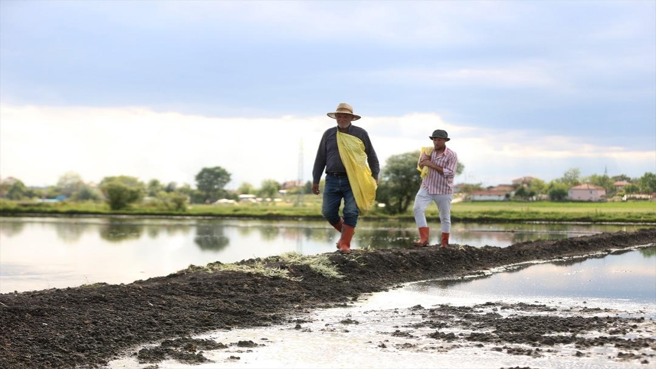 Foto - Tam 23 yıldır sadece bu işi yapıyorlar! Resmen para bastırıyor