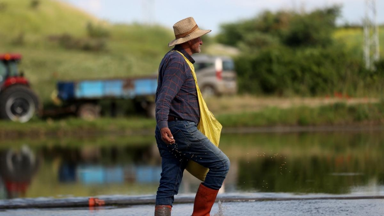 Foto - Tam 23 yıldır sadece bu işi yapıyorlar! Resmen para bastırıyor