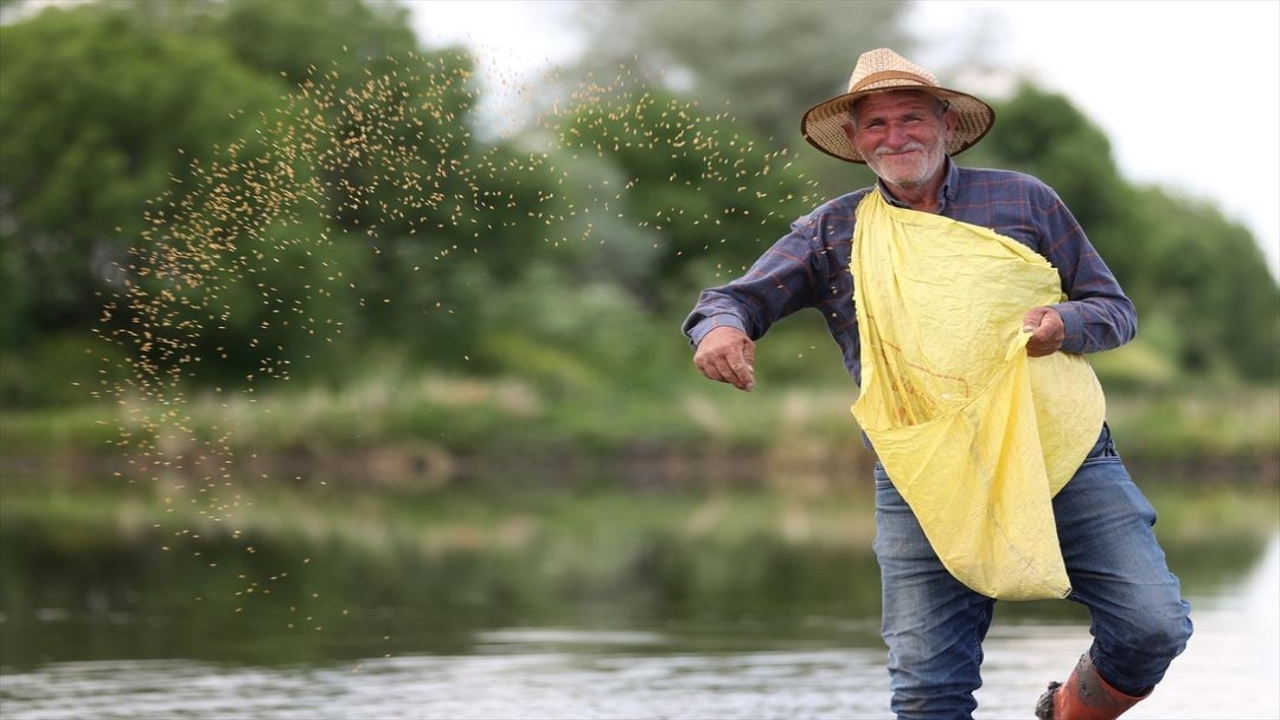 Foto - Tam 23 yıldır sadece bu işi yapıyorlar! Resmen para bastırıyor