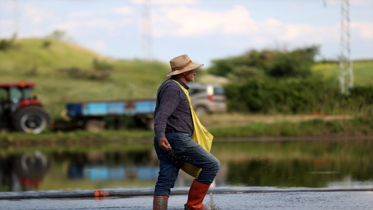 Tam 23 yıldır sadece bu işi yapıyorlar! Resmen para bastırıyor