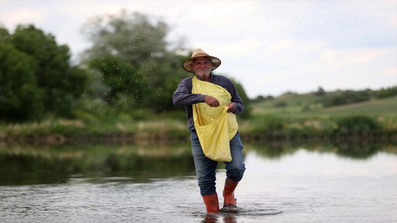 Foto - Tam 23 yıldır sadece bu işi yapıyorlar! Resmen para bastırıyor