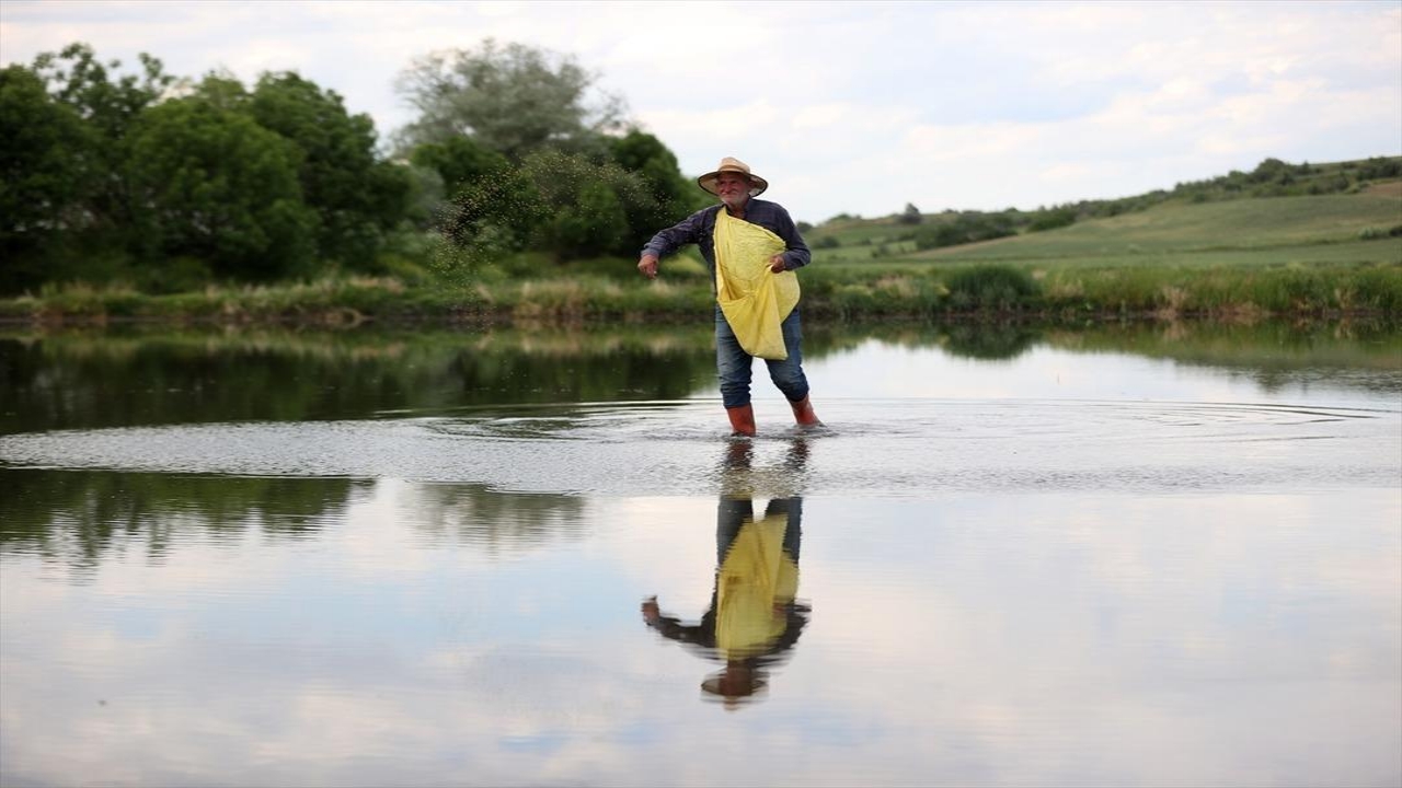 Foto - Tam 23 yıldır sadece bu işi yapıyorlar! Resmen para bastırıyor