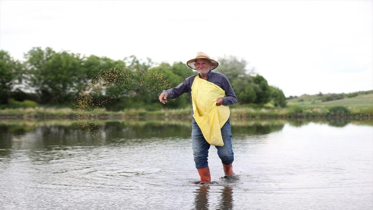 Foto - Tam 23 yıldır sadece bu işi yapıyorlar! Resmen para bastırıyor