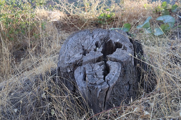 Foto - Tam 3 kez yaşandı! Bu köyde yağmur yağınca kimse dışarı çıkmıyor