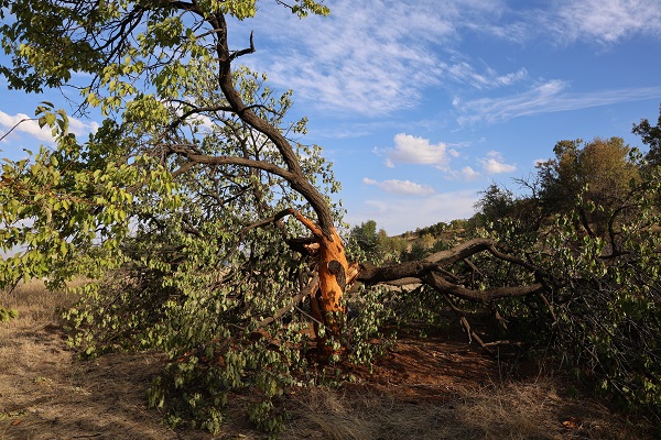 Foto - Tam 3 kez yaşandı! Bu köyde yağmur yağınca kimse dışarı çıkmıyor