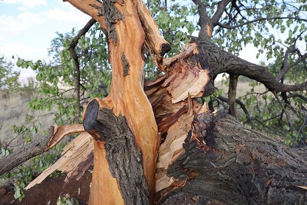 Foto - Tam 3 kez yaşandı! Bu köyde yağmur yağınca kimse dışarı çıkmıyor