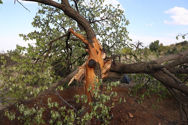 Foto - Tam 3 kez yaşandı! Bu köyde yağmur yağınca kimse dışarı çıkmıyor
