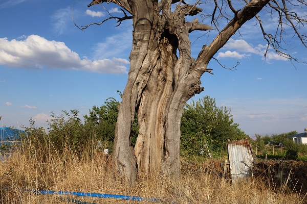 Foto - Tam 3 kez yaşandı! Bu köyde yağmur yağınca kimse dışarı çıkmıyor