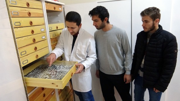 Foto - Tam 4 bin çeşidi var! Bu müzeye herkes giremez