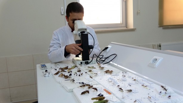 Foto - Tam 4 bin çeşidi var! Bu müzeye herkes giremez