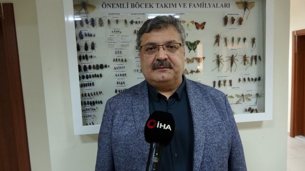 Foto - Tam 4 bin çeşidi var! Bu müzeye herkes giremez