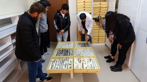 Foto - Tam 4 bin çeşidi var! Bu müzeye herkes giremez