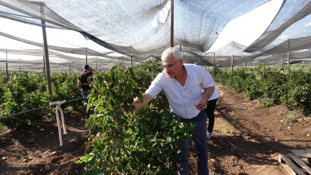 Tam 43 ülkeye gönderiliyor! Türkiye'nin en büyüğü burada