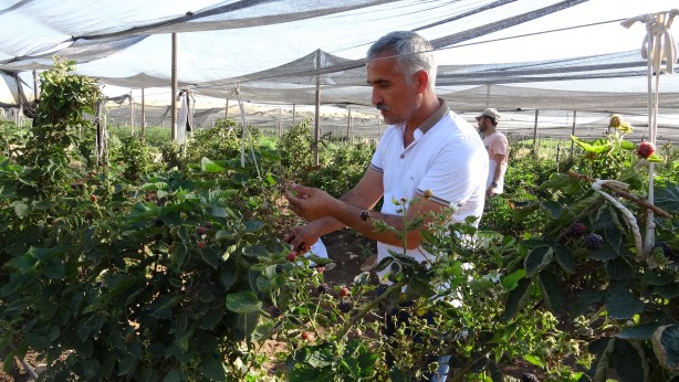 Foto - Tam 43 ülkeye gönderiliyor! Türkiye'nin en büyüğü burada