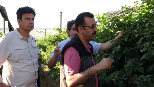 Foto - Tam 43 ülkeye gönderiliyor! Türkiye'nin en büyüğü burada