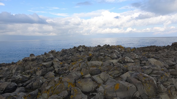 Foto - Tam 43 yıl sonunda! Makbule Teyze yıllar sonra hayaline böyle kavuştu