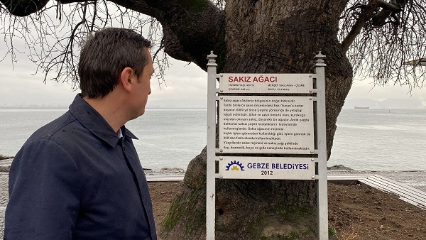 Foto - Tam 460 yıldır ayakta! Bir zamanlar herkese şifa dağıtıyordu