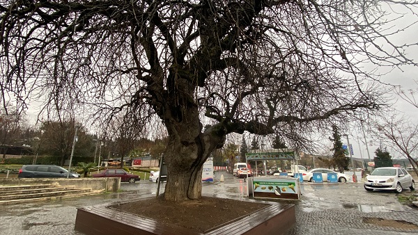 Foto - Tam 460 yıldır ayakta! Bir zamanlar herkese şifa dağıtıyordu