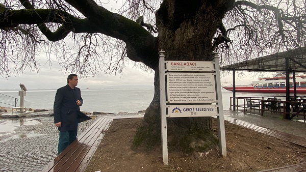 Foto - Tam 460 yıldır ayakta! Bir zamanlar herkese şifa dağıtıyordu