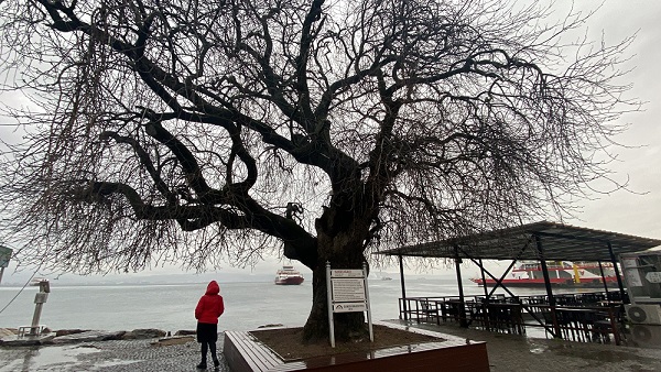 Foto - Tam 460 yıldır ayakta! Bir zamanlar herkese şifa dağıtıyordu