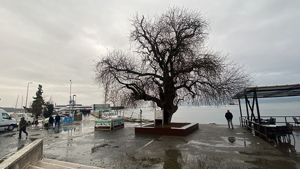 Foto - Tam 460 yıldır ayakta! Bir zamanlar herkese şifa dağıtıyordu