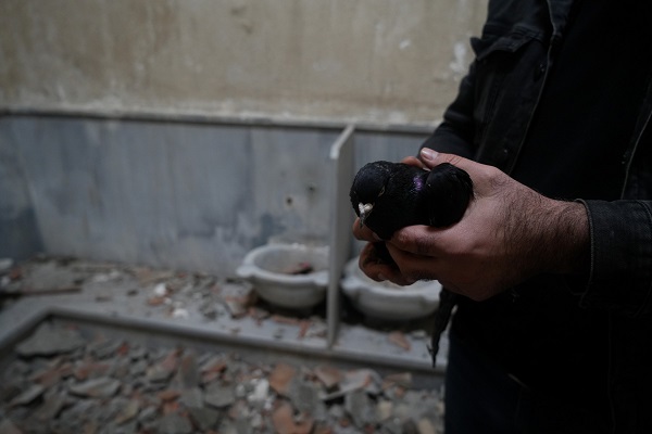 Foto - Tam 6 asır önce yapıldı! Parası olmayan tarihi hamamı takasla alabilir