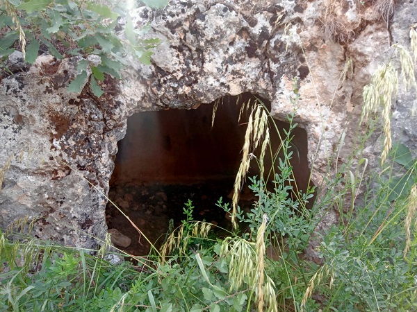 Tam 600 yıllıktı! Defineciler yine yaptı yapacağını