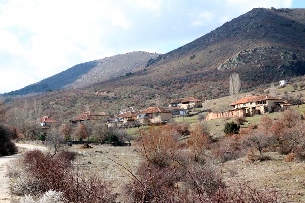 Foto - Tam 7 dönemdir hiçbir rakibi yok