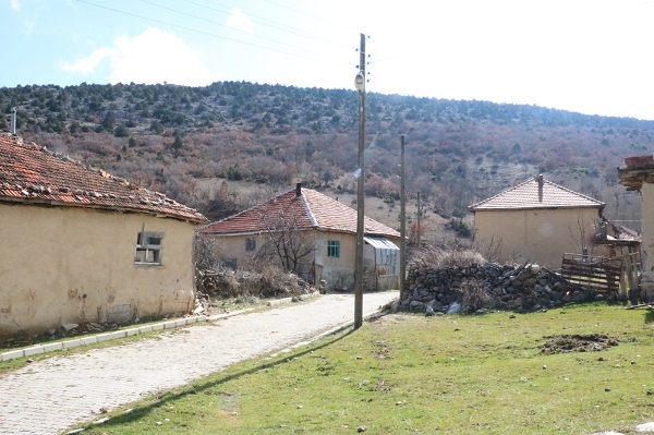 Foto - Tam 7 dönemdir hiçbir rakibi yok