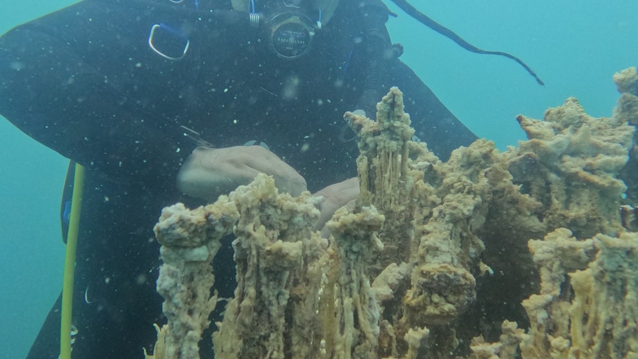 Foto - Tam 70 metre boyunda: Van Gölü derinliklerinde yeni keşif!