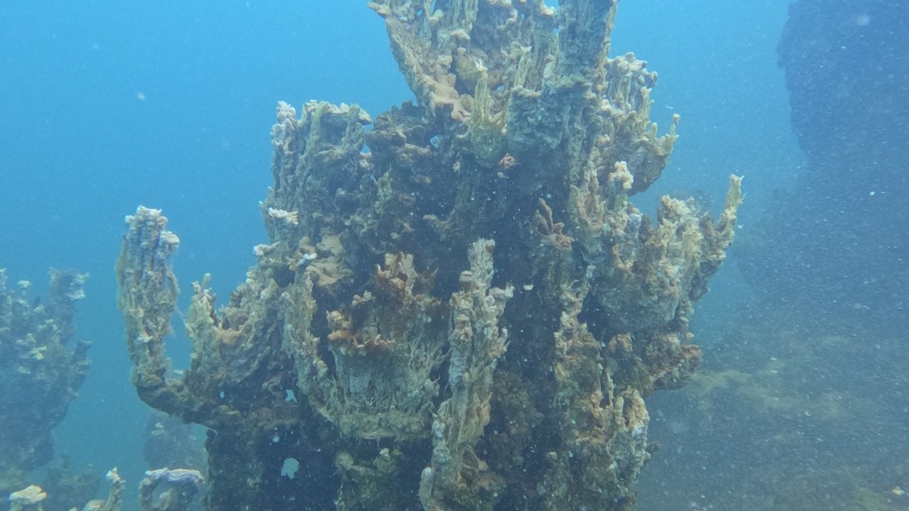 Foto - Tam 70 metre boyunda: Van Gölü derinliklerinde yeni keşif!