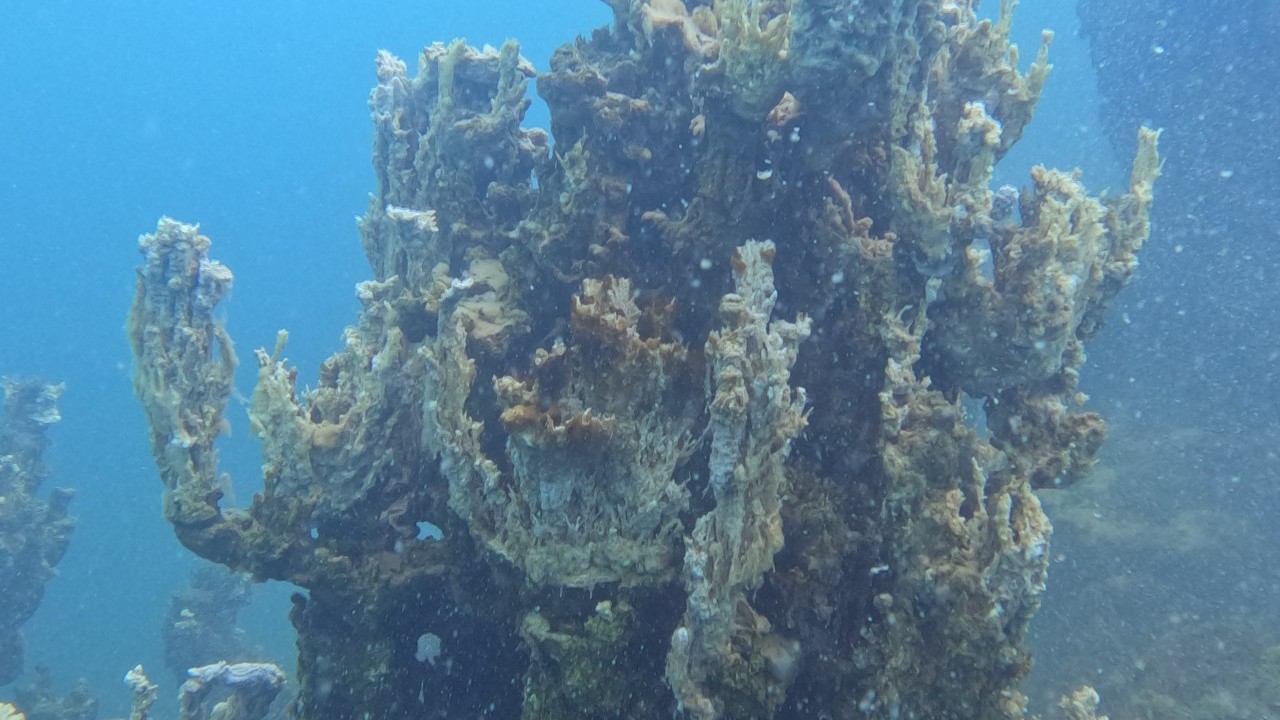Foto - Tam 70 metre boyunda: Van Gölü derinliklerinde yeni keşif!