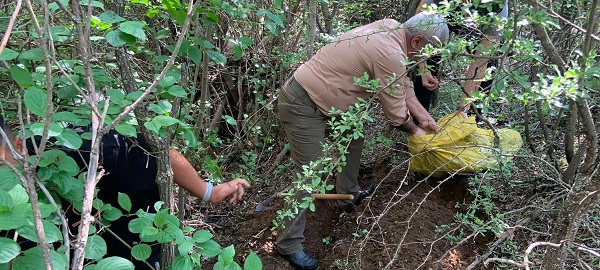 Foto - Tam 775 bin lira ceza kesildi! 