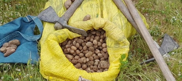 Foto - Tam 775 bin lira ceza kesildi! 