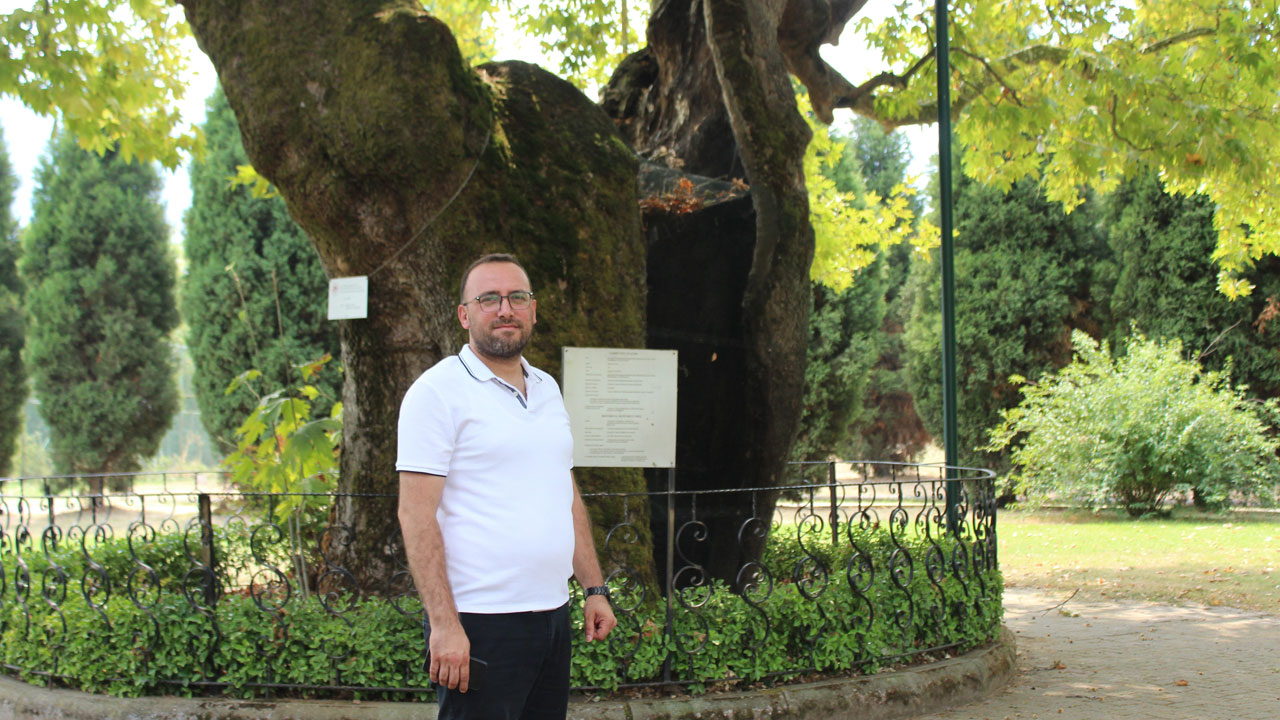 Foto - Tam 930 yaşında! Bu çınar zamana meydan okuyor