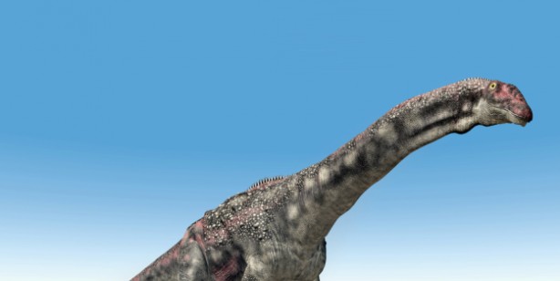 Foto - Tam 95 milyon yıl önce dinozor fosili bulundu: Bilim insanları şaştı kaldı! Tarihi keşfi dünyaya duyuruldu! 