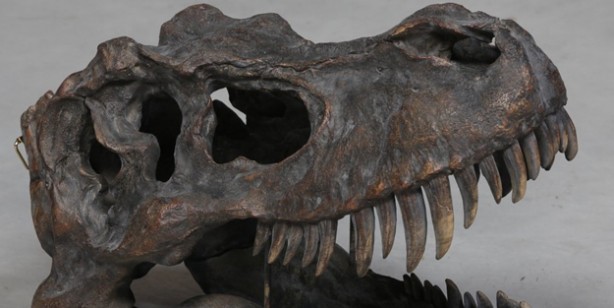 Foto - Tam 95 milyon yıl önce dinozor fosili bulundu: Bilim insanları şaştı kaldı! Tarihi keşfi dünyaya duyuruldu! 